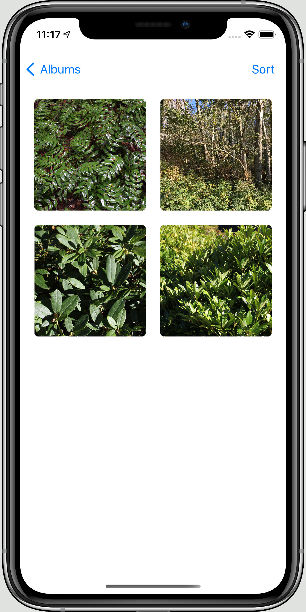 Grid view of photos captured with Location Camera displayed on an iPhone