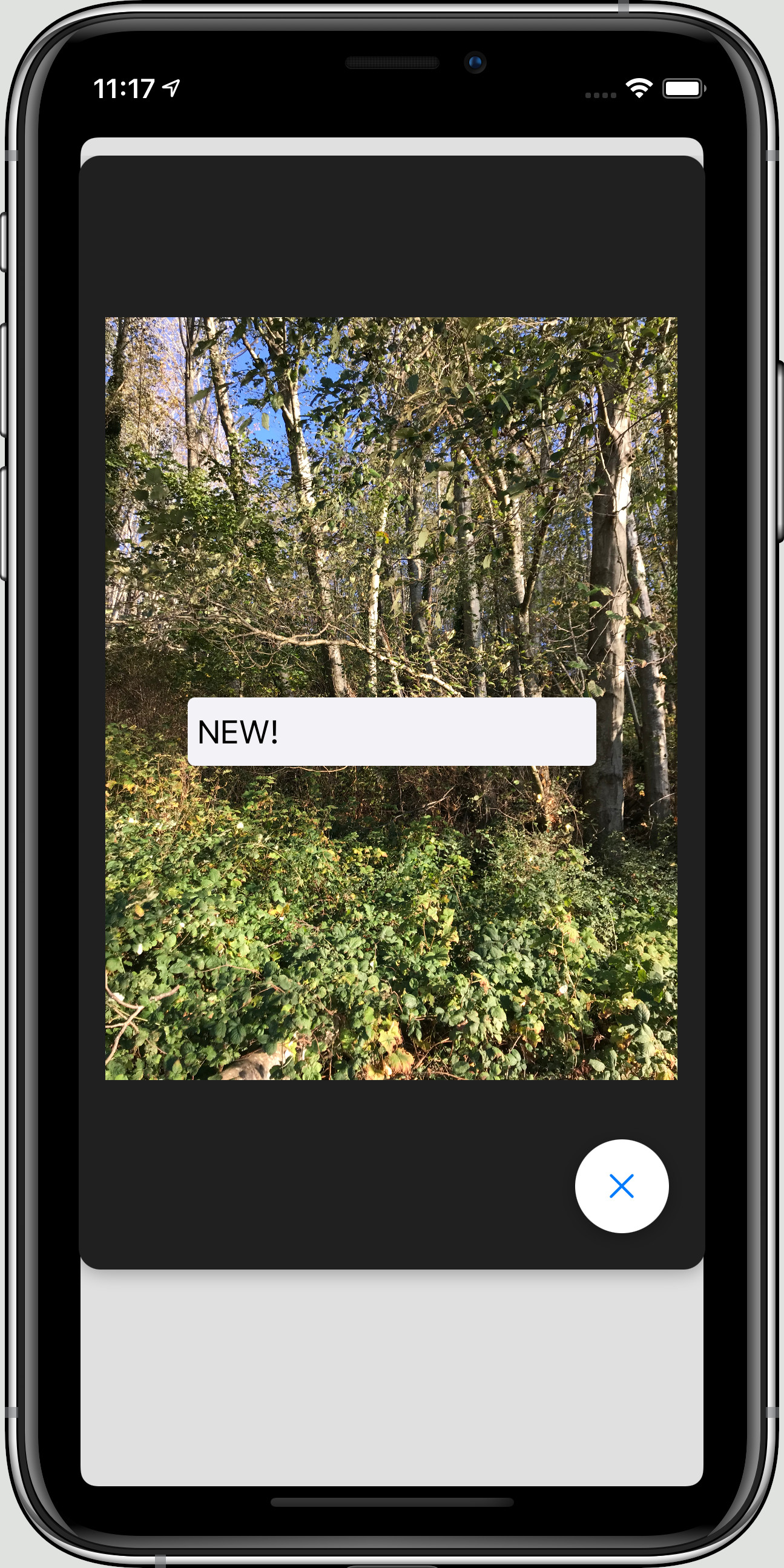 A Location Camera photo with text attached displayed on an iPhone